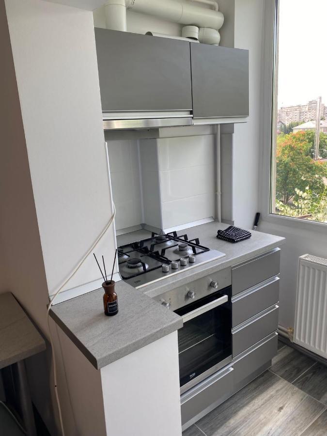 Alesandru Apartament Piteszti Zewnętrze zdjęcie