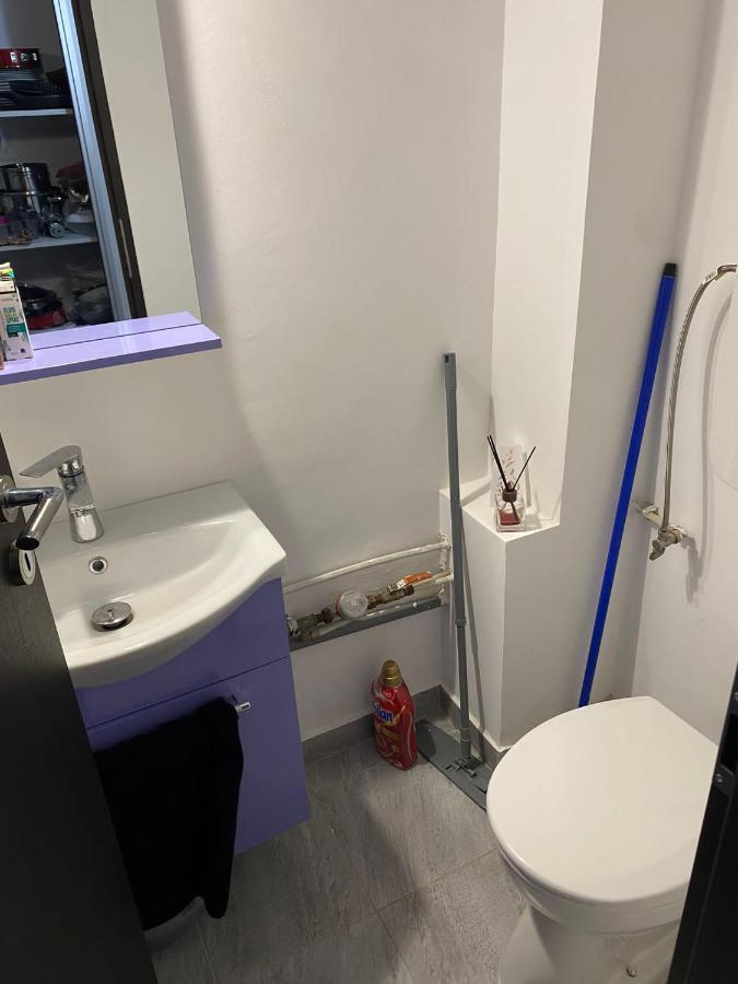 Alesandru Apartament Piteszti Zewnętrze zdjęcie